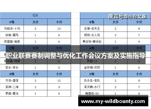 职业联赛赛制调整与优化工作会议方案及实施指导