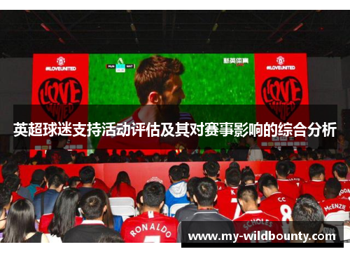 英超球迷支持活动评估及其对赛事影响的综合分析 英超球迷支持活动评估及其对赛事影响的综合分析