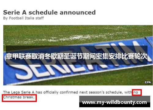 意甲联赛取消冬歇期圣诞节期间密集安排比赛轮次