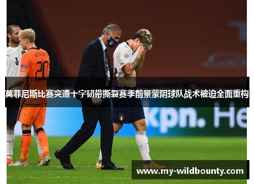 莫菲尼斯比赛突遭十字韧带撕裂赛季前景蒙阴球队战术被迫全面重构