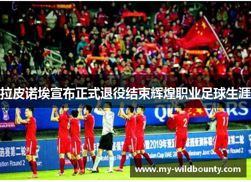 拉皮诺埃宣布正式退役结束辉煌职业足球生涯 拉皮诺埃宣布正式退役结束辉煌职业足球生涯