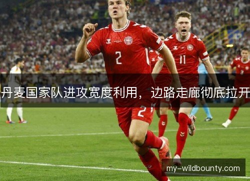 丹麦国家队进攻宽度利用，边路走廊彻底拉开